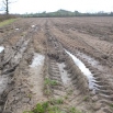 Grassland Soil Compaction Farming Note