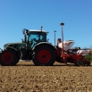 Maize Drilling and Fertilisers
