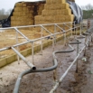 Cow Handling Facilities Farming Note