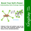 Boost Your Soil's Power: Understanding Cation Exchange Capacity Dairy Insight