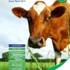 Dairy Costings Focus Report 2015