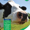 Dairy Costings Focus Report 2013