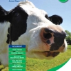 Dairy Costings Focus Report