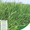 The Forage Costings Report 2020