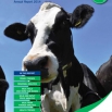 Dairy Costings Focus Report