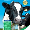 Dairy Costings Focus Report 2012