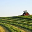 Management Following 1st Cut Silage