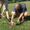 Completing Soil Assessments for the SFI