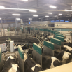 Milk Lactose Dairy Insight