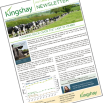 Autumn 2024 Newsletter