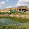 Water Resilience Dairy Insight