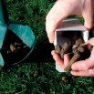 Soil Sampling, Testing & Analysis - Dairy Insight