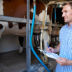 Simple Parlour Checks Dairy Insight