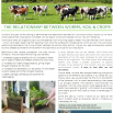 Summer 2024 Newsletter