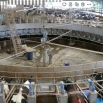 Milking Frequency Dairy Insight