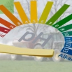 Soil pH and Liming - it’s not all about Calcium!