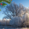 December Checklist 2024