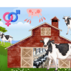 Reasons for Cows Leaving the Herd