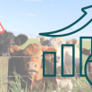 Emerging Diseases Dairy Insight