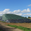 Sheeting the Clamp Dairy Insight