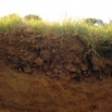 Soil Sampling & Analysis Farming Note
