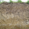 Improving Soil Structure for Maize Farming Note