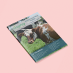 Dairy Costings Focus Report 2025