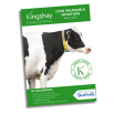 Tried & Tested Cow Wearable Monitors Report 2025