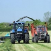 High nitrates in silage grass possible