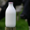 Milk Protein Farming Note