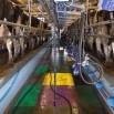 Parlour Walls & Floors Farming Note