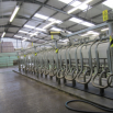 Maximising Cow Flow at Milking