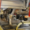 Robotic Milking Farming Note