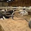 Sand Cubicles - The Gold Standard? Farming Note