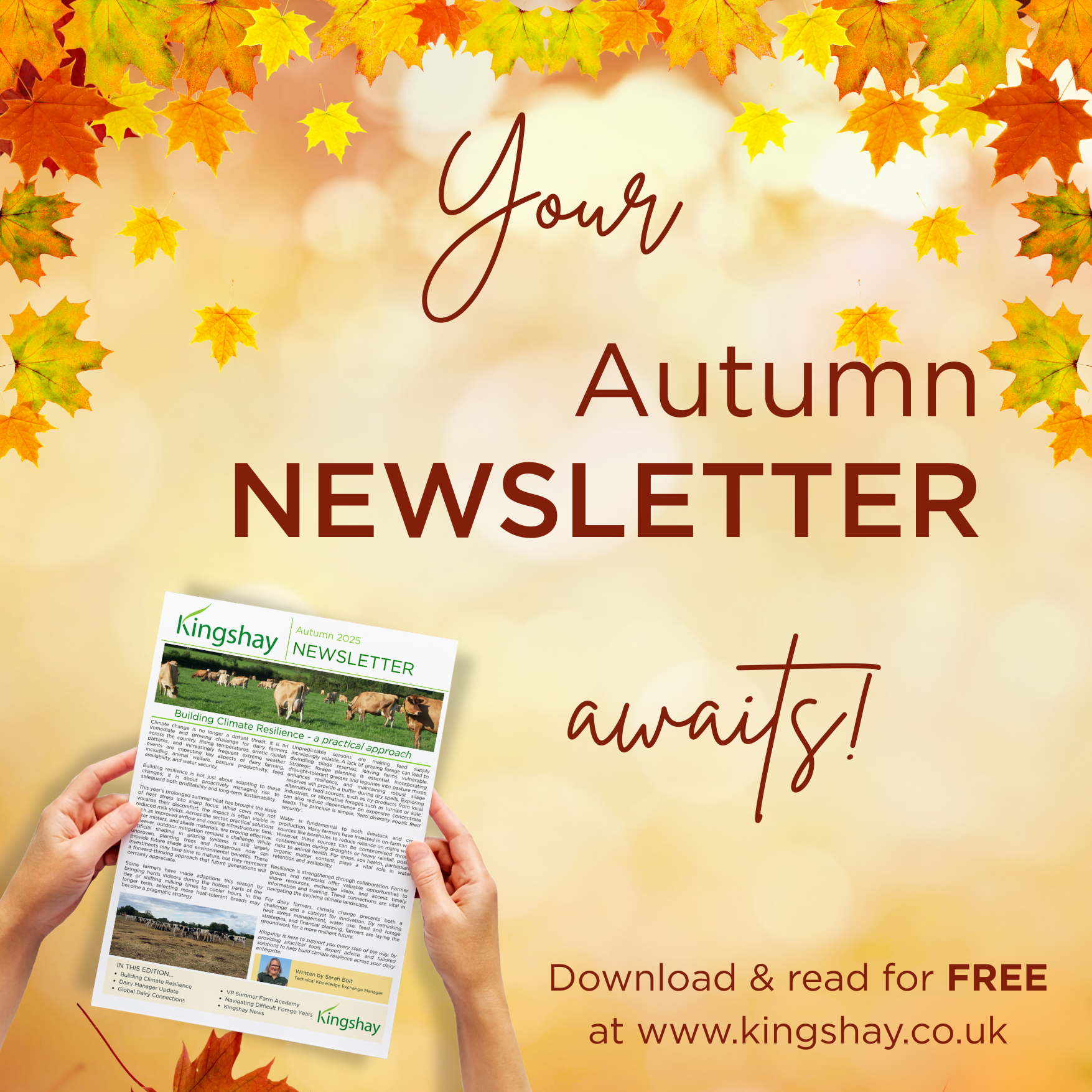 Autumn 2025 Newsletter