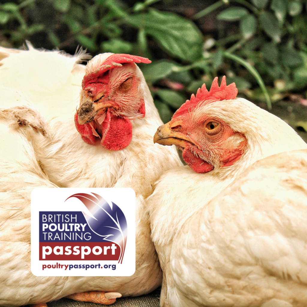 British Poultry Passport Training for Broiler Producers – Module 2: Biosecurity