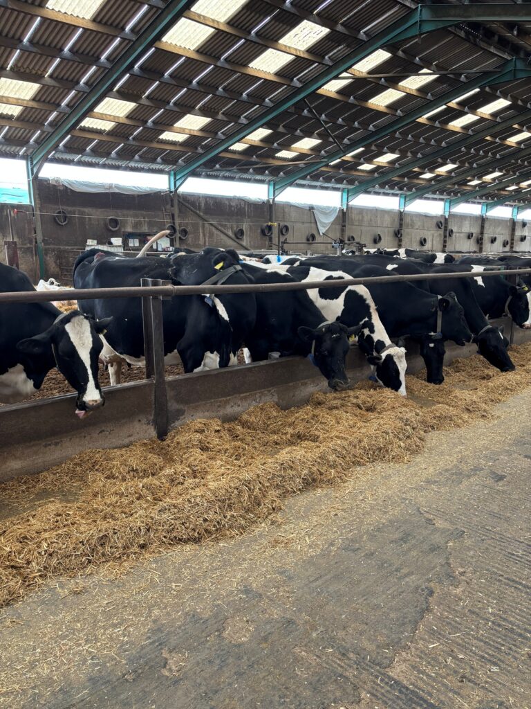Feed Stuffs Analysis – Full
