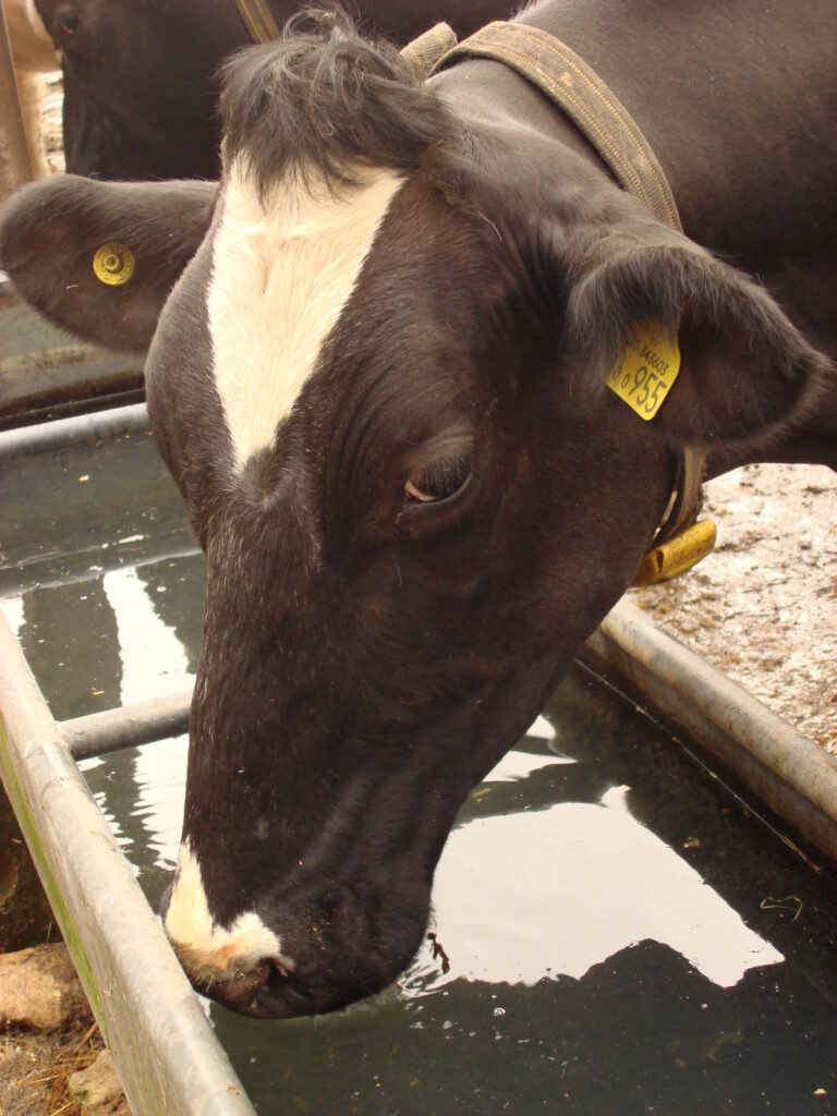 Water Microbial Analysis with Salmonella (Ecoli/coliforms/TVC and Salmonella)