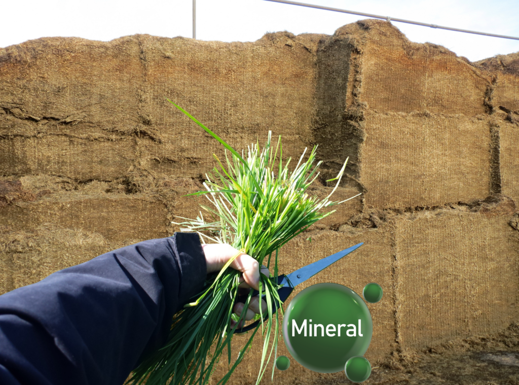 Forage Mineral Analysis