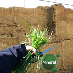 Forage Mineral Analysis