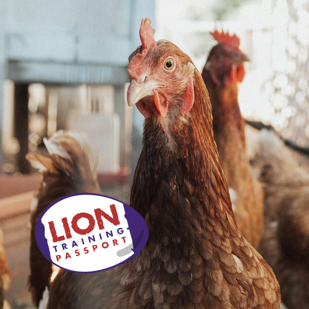 Lion Training Passport For Egg Producers – Module 1: Biosecurity and Egg Quality