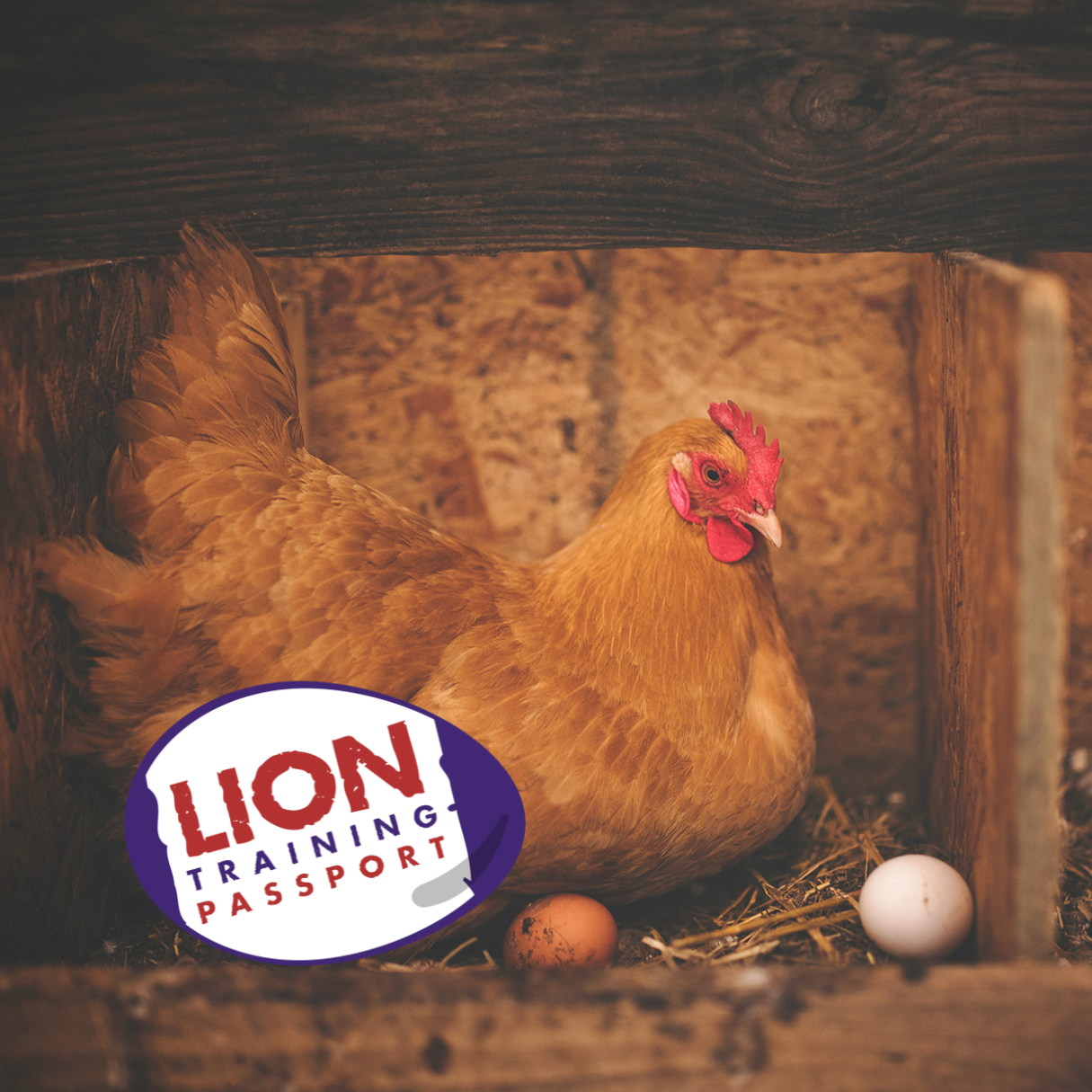 Lion Training Passport For Egg Producers – Module 2: Poultry Health & Welfare, Stockman - Image 1