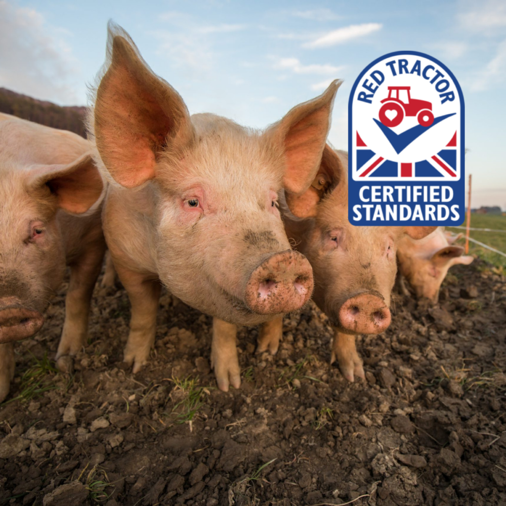 Use of Medication in Pigs (Red Tractor Approved)