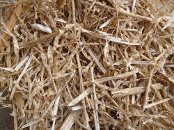 Hay & Straw – Mould & Yeast Analysis