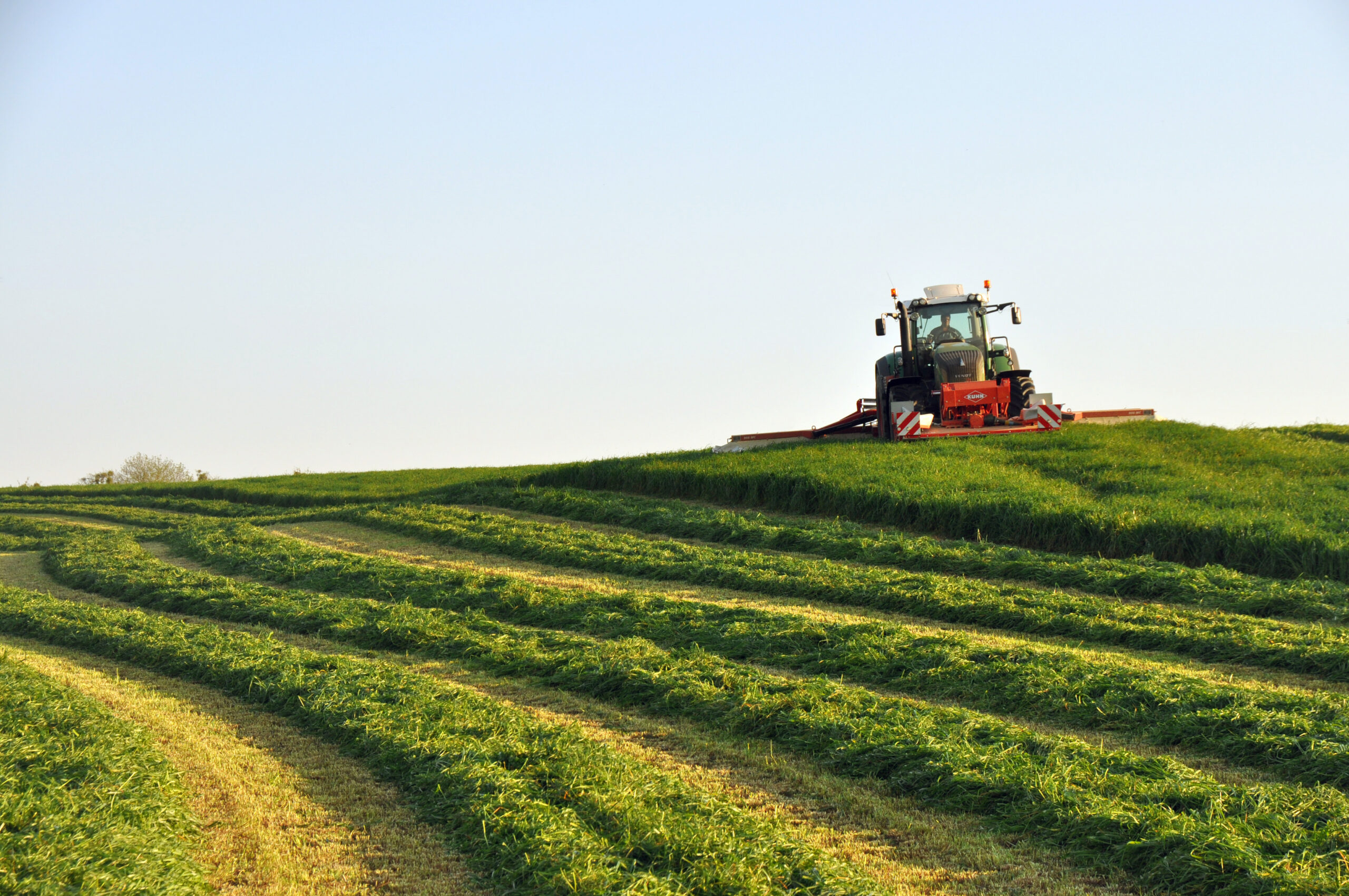 Long Term Mixture with white clover - Preferred Silage Mix with Clover - Mix SLC - Image 1