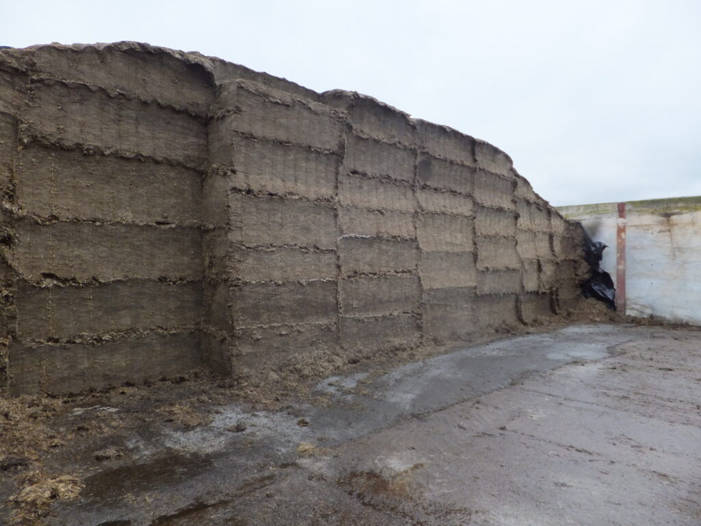 Silage Analysis
