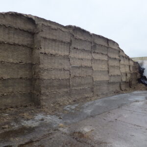 Silage Analysis