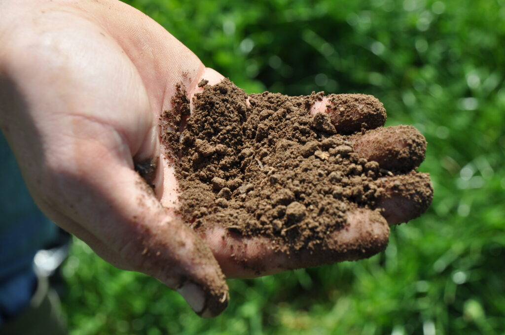 Soil Analysis – Basic (1 sample)