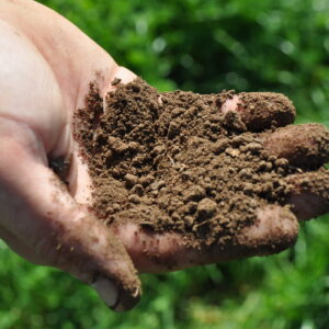 Soil Analysis – Basic (6 pack)