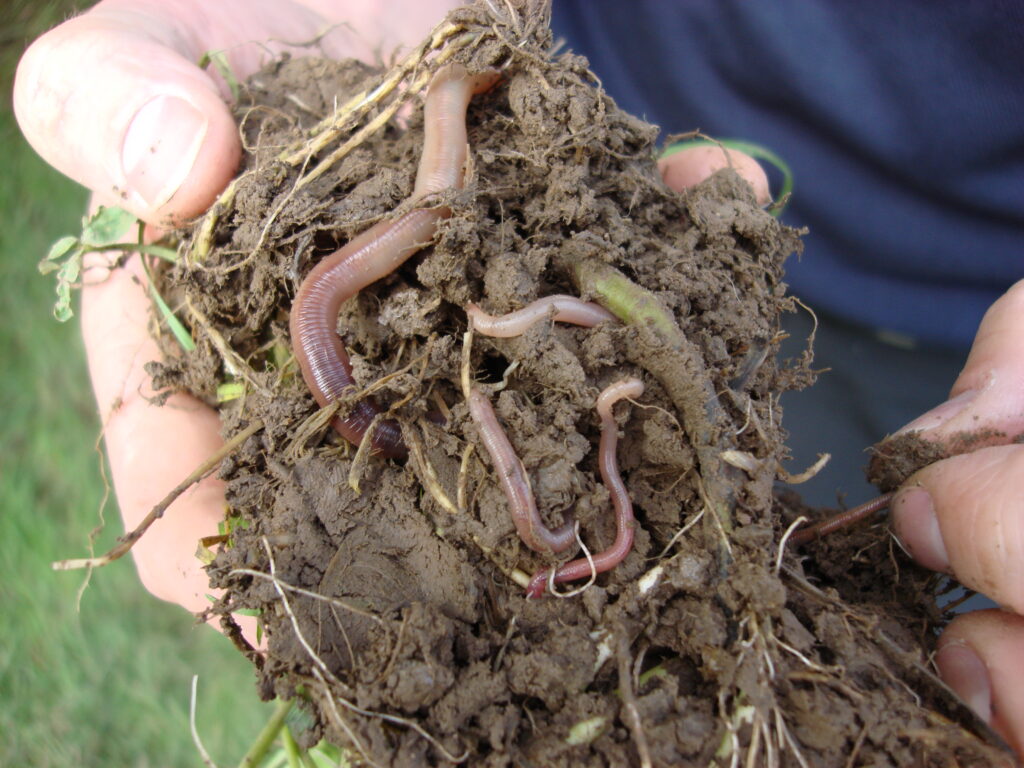 Broad Spectrum Soil Health